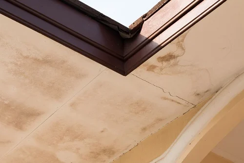 Ceiling Water Leaks in Austin, TX | Freetail Roofing