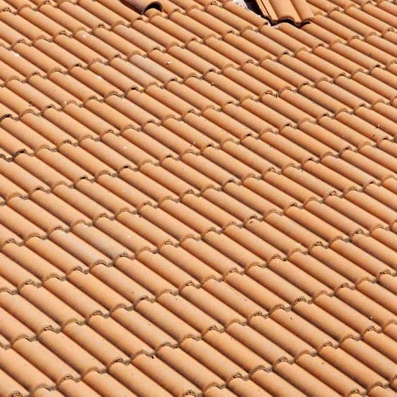 Damaged Tile Roof
