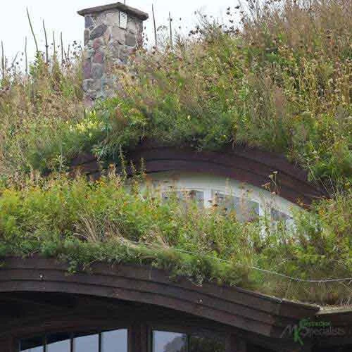 What Are Green Roof Systems What Are Green Roof Systems