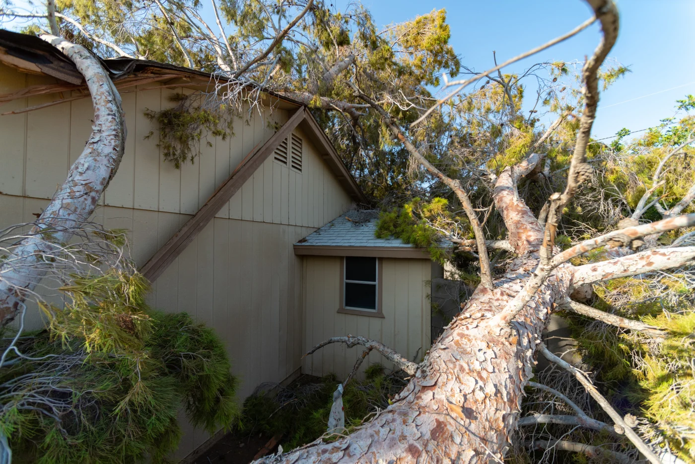 Storm Damage Roofing Services Georgetown, TX Freetail Roofing