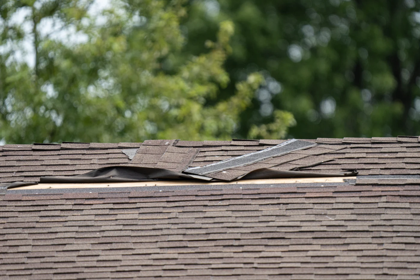 Storm Damage Roofing Services Pflugerville, TX Freetail Roofing