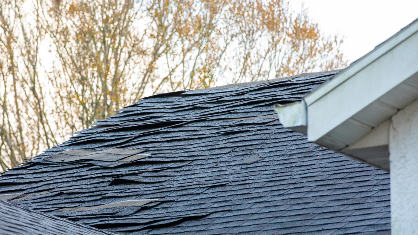 Storm Damage Roofing Services Round Rock Freetail Roofing