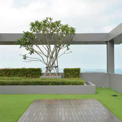 What Are The Benefits Of A Green Roof
