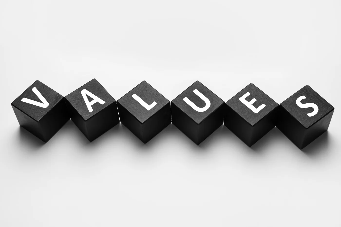 Our Core Values