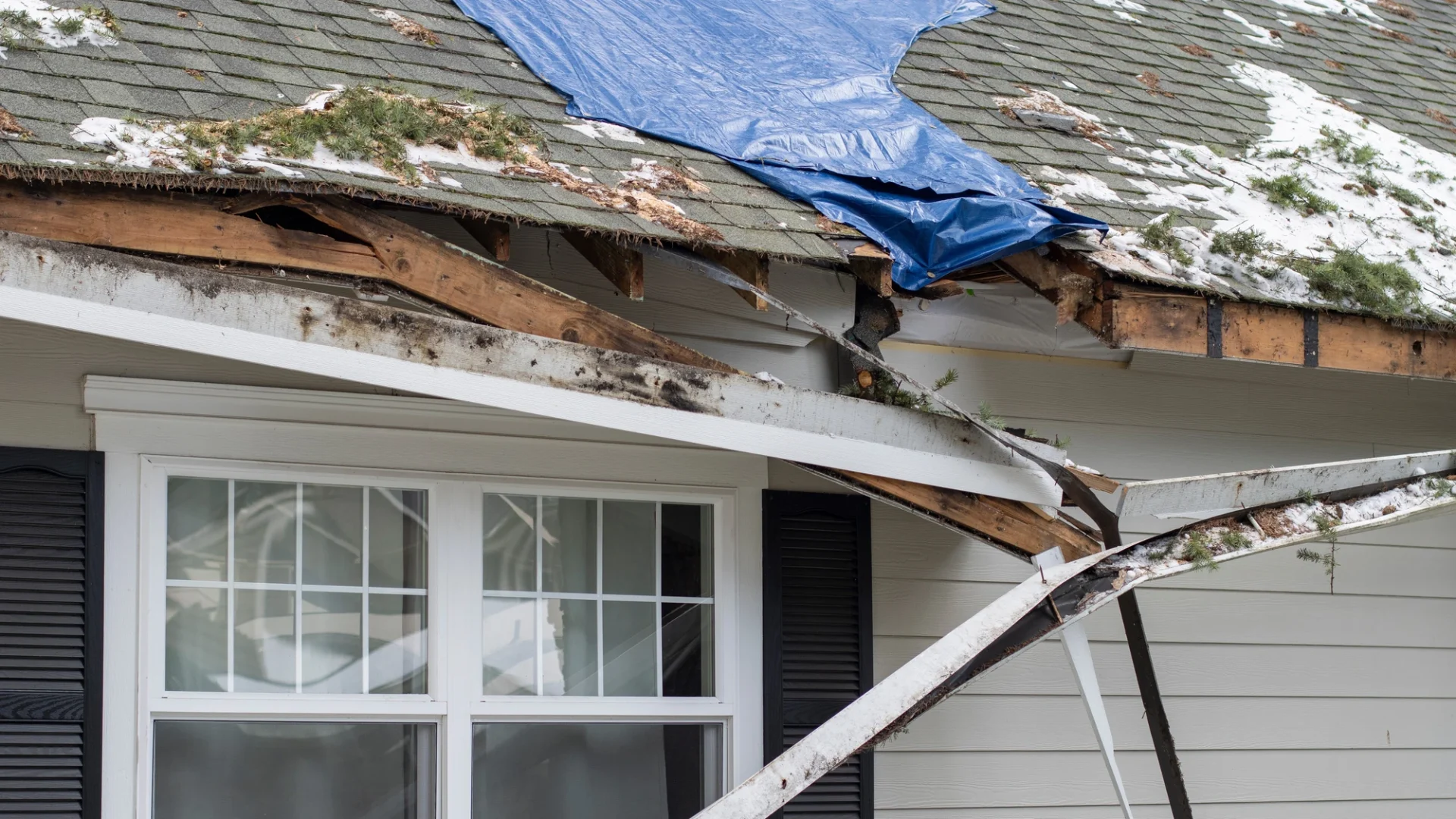 Asphalt shingle roof with damaged gutters and shingles with tree branches and snow