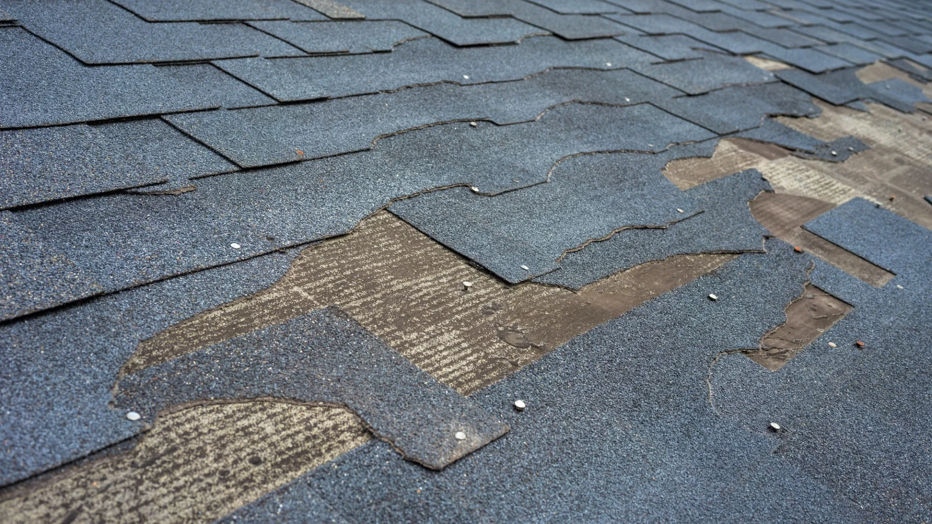 Detailed view of a damaged section of an asphalt shingle residential roof in Oak Hill, TX | Freetail Roofing