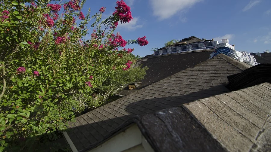 Close-up view of home with brown shingle roof and top of trees